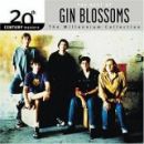 20th Century Masters - The Millennium Collection: The Best of Gin Blossoms