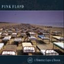 A Momentary Lapse of Reason