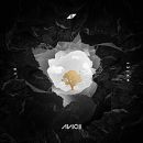 AVICI (01)