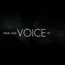 Voice