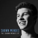 The Shawn Mendes