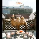 Wilco (The Album)